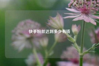 快手粉丝达到多少有钱