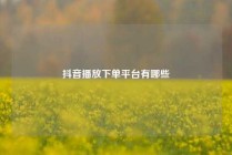 抖音播放下单平台有哪些