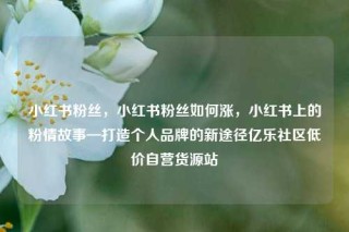 小红书粉丝，小红书粉丝如何涨，小红书上的粉情故事—打造个人品牌的新途径亿乐社区低价自营货源站