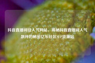 抖音直播间挂人气网站，揭秘抖音直播间人气飙升的秘密亿乐社区SUP货源站