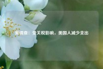 美调查：受关税影响，美国人减少支出