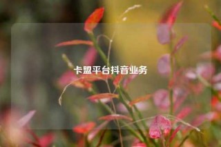 卡盟平台抖音业务