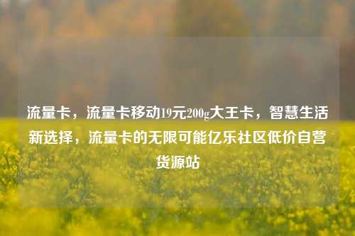 流量卡	，流量卡移动19元200g大王卡，智慧生活新选择，流量卡的无限可能亿乐社区低价自营货源站  第1张