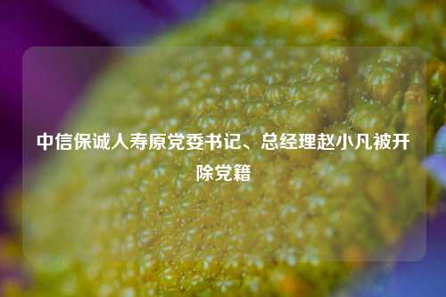 中信保诚人寿原党委书记、总经理赵小凡被开除党籍  第1张