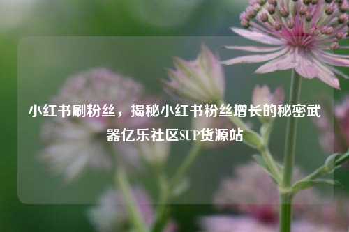小红书刷粉丝	，揭秘小红书粉丝增长的秘密武器亿乐社区SUP货源站  第1张