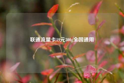 联通流量卡19元300g全国通用  第1张
