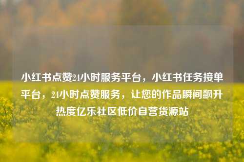 小红书点赞24小时服务平台，小红书任务接单平台	，24小时点赞服务，让您的作品瞬间飙升热度亿乐社区低价自营货源站  第1张
