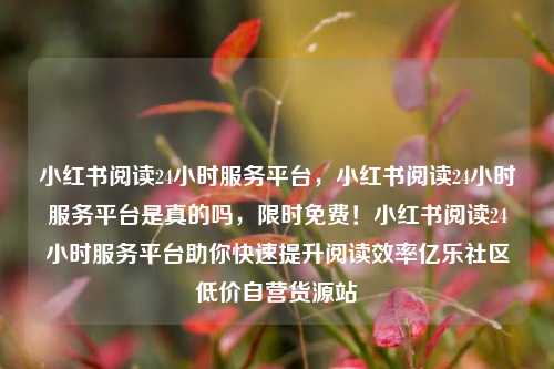 小红书阅读24小时服务平台，小红书阅读24小时服务平台是真的吗，限时免费！小红书阅读24小时服务平台助你快速提升阅读效率亿乐社区低价自营货源站  第1张