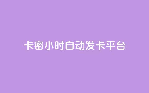 卡密24小时自动发卡平台 - 全天候自动发卡系统一键获取卡密服务。  第1张
