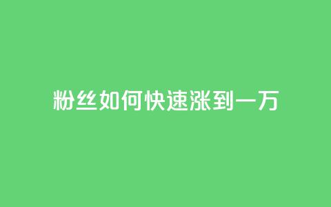 粉丝如何快速涨到一万,卡盟平台自助下单低价 - 快手点赞24小时接单 全网辅助最全提卡最低的卡盟  第1张