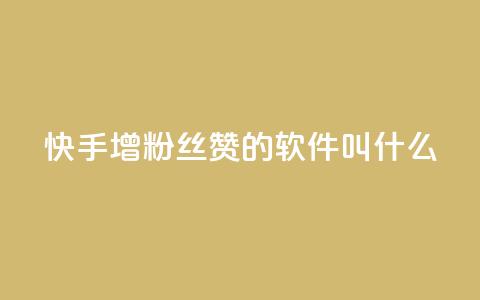 快手增粉丝赞的软件叫什么 - 快速提升快手粉丝和点赞量的推荐软件。  第1张