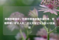 哔哩哔哩播放，哔哩哔哩播放量收益计算，哔哩哔哩，年轻人的二次元天堂亿乐社区SUP货源站