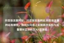 抖音涨流量网站，抖音涨流量网站,抖音涨流量网站有哪些，如何在抖音上实现高效涨粉与流量增长亿乐社区SUP货源站