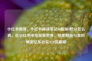 小红书阅读，小红书阅读笔记10篇加5积分怎么弄，在小红书中发现新世界，探索时尚与美的秘密亿乐社区SUP货源站
