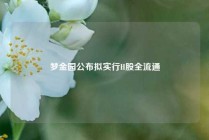 梦金园公布拟实行H股全流通
