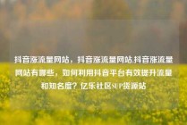 抖音涨流量网站，抖音涨流量网站,抖音涨流量网站有哪些，如何利用抖音平台有效提升流量和知名度？亿乐社区SUP货源站