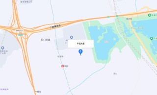 从杭州搬回广州，辛巴发生了什么