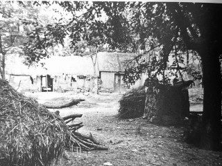 百年前淮北乡村的风俗画卷——读郑重 《九十自述》