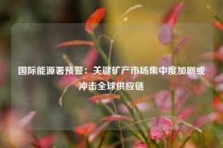 国际能源署预警：关键矿产市场集中度加剧或冲击全球供应链