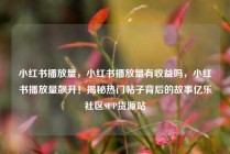 小红书播放量，小红书播放量有收益吗，小红书播放量飙升！揭秘热门帖子背后的故事亿乐社区SUP货源站