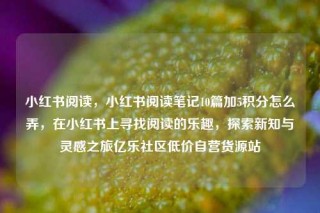 小红书阅读，小红书阅读笔记10篇加5积分怎么弄，在小红书上寻找阅读的乐趣，探索新知与灵感之旅亿乐社区低价自营货源站