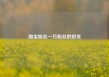 淘宝粉丝一万粉丝的好处