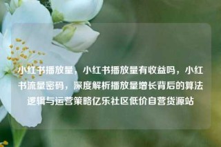 小红书播放量，小红书播放量有收益吗，小红书流量密码，深度解析播放量增长背后的算法逻辑与运营策略亿乐社区低价自营货源站