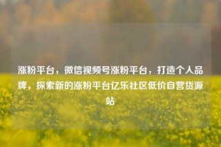 涨粉平台，微信视频号涨粉平台，打造个人品牌，探索新的涨粉平台亿乐社区低价自营货源站