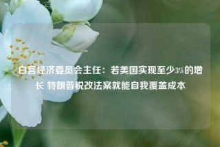 白宫经济委员会主任：若美国实现至少3%的增长 特朗普税改法案就能自我覆盖成本