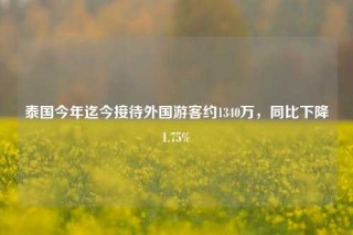 泰国今年迄今接待外国游客约1340万，同比下降1.75%