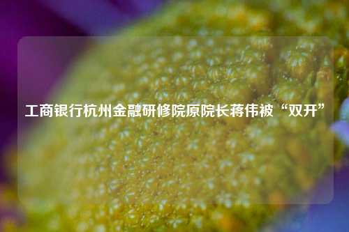 工商银行杭州金融研修院原院长蒋伟被“双开”  第1张