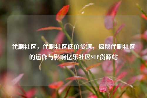 代刷社区，代刷社区低价货源，揭秘代刷社区的运作与影响亿乐社区SUP货源站  第1张