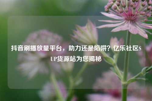 抖音刷播放量平台，助力还是陷阱？亿乐社区SUP货源站为您揭秘  第1张