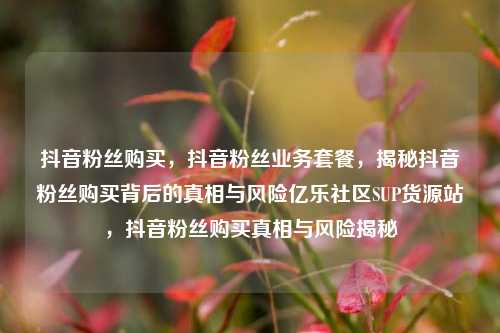抖音粉丝购买，抖音粉丝业务套餐，揭秘抖音粉丝购买背后的真相与风险亿乐社区SUP货源站	，抖音粉丝购买真相与风险揭秘  第1张
