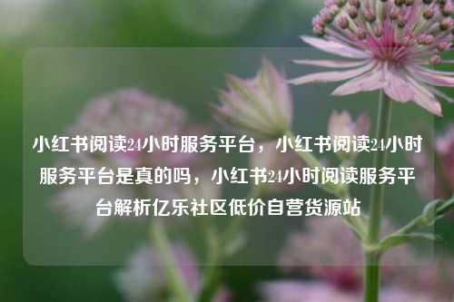 小红书阅读24小时服务平台	，小红书阅读24小时服务平台是真的吗，小红书24小时阅读服务平台解析亿乐社区低价自营货源站  第1张