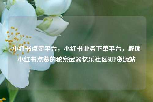小红书点赞平台，小红书业务下单平台	，解锁小红书点赞的秘密武器亿乐社区SUP货源站  第1张