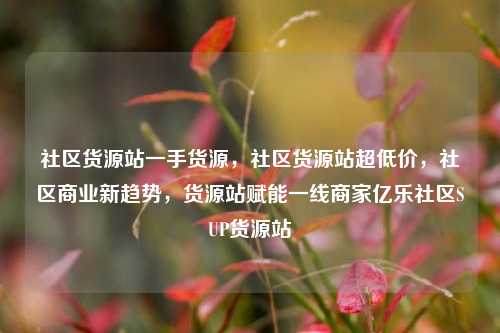 社区货源站一手货源，社区货源站超低价，社区商业新趋势	，货源站赋能一线商家亿乐社区SUP货源站  第1张