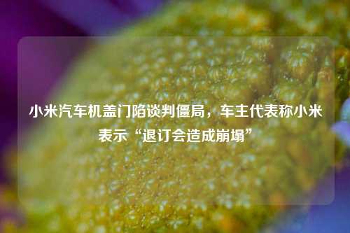 小米汽车机盖门陷谈判僵局，车主代表称小米表示“退订会造成崩塌”  第1张