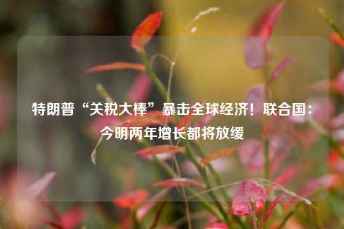 特朗普“关税大棒”暴击全球经济！联合国：今明两年增长都将放缓  第1张