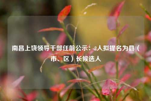 南昌上饶领导干部任前公示：2人拟提名为县（市、区）长候选人  第1张