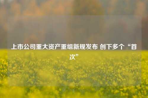 上市公司重大资产重组新规发布 创下多个“首次”  第1张
