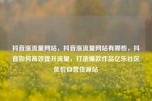抖音涨流量网站，抖音涨流量网站有哪些，抖音如何高效提升流量，打造爆款作品亿乐社区低价自营货源站  第1张