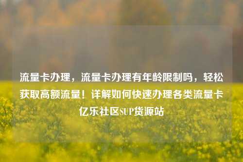 流量卡办理	，流量卡办理有年龄限制吗，轻松获取高额流量！详解如何快速办理各类流量卡亿乐社区SUP货源站  第1张