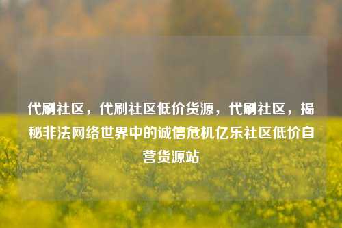 代刷社区，代刷社区低价货源，代刷社区	，揭秘非法网络世界中的诚信危机亿乐社区低价自营货源站  第1张