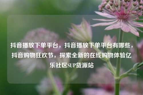 抖音播放下单平台，抖音播放下单平台有哪些，抖音购物狂欢节，探索全新的在线购物体验亿乐社区SUP货源站  第1张