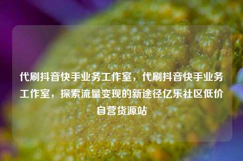 代刷抖音快手业务工作室，代刷抖音快手业务工作室，探索流量变现的新途径亿乐社区低价自营货源站  第1张