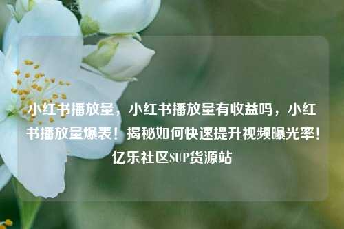 小红书播放量，小红书播放量有收益吗	，小红书播放量爆表！揭秘如何快速提升视频曝光率！亿乐社区SUP货源站  第1张