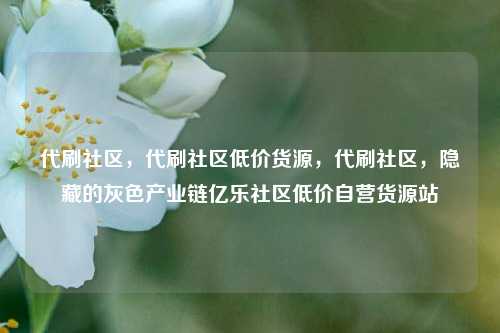 代刷社区，代刷社区低价货源，代刷社区	，隐藏的灰色产业链亿乐社区低价自营货源站  第1张
