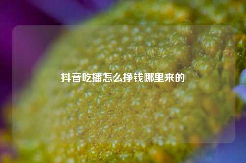 抖音吃播怎么挣钱哪里来的  第1张