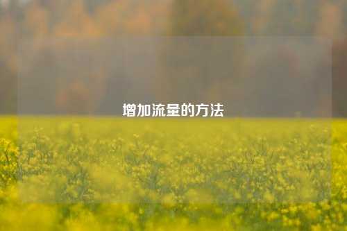 增加流量的方法  第1张
